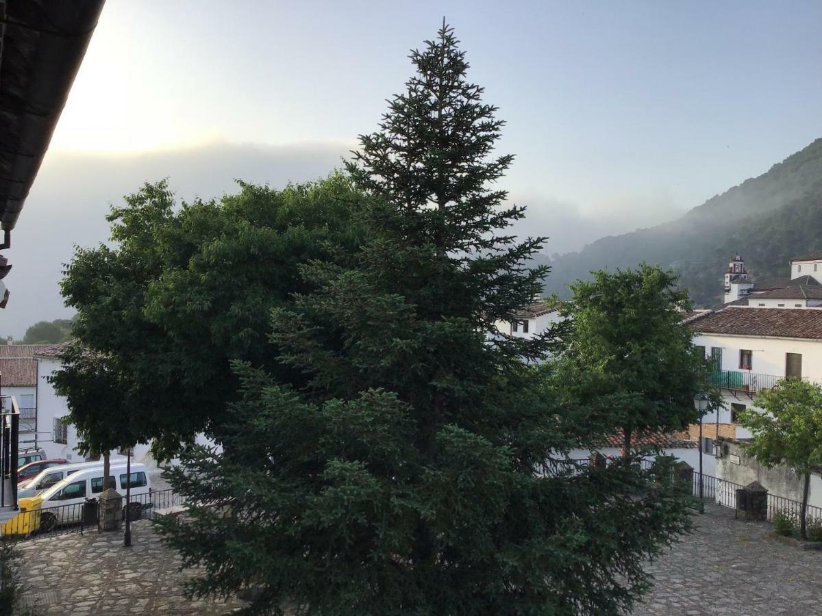 Willa Vivelorural Casa Tassone, Grazalema - Cadiz Zewnętrze zdjęcie