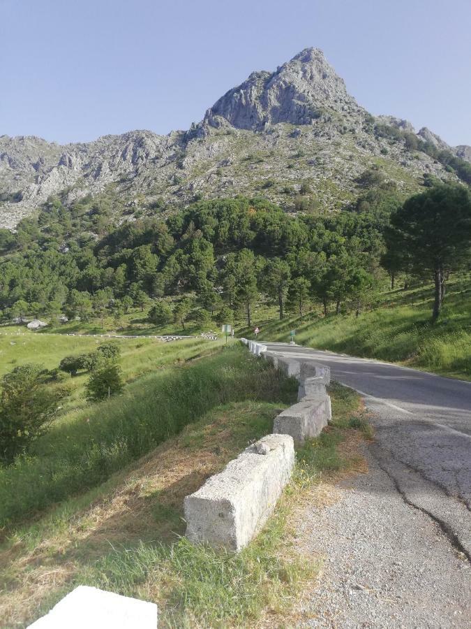 Willa Vivelorural Casa Tassone, Grazalema - Cadiz Zewnętrze zdjęcie